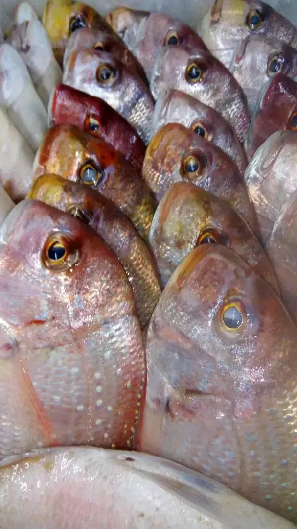 Productos del mar de la costa atlántica — Atlantique Seafood