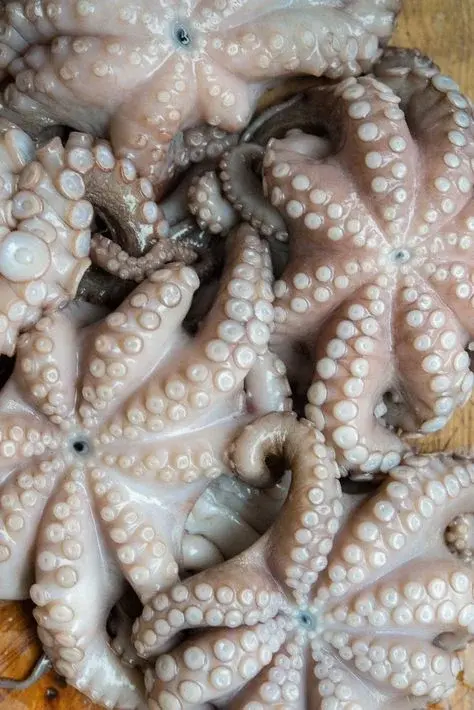 Productos del mar de la costa atlántica — Atlantique Seafood