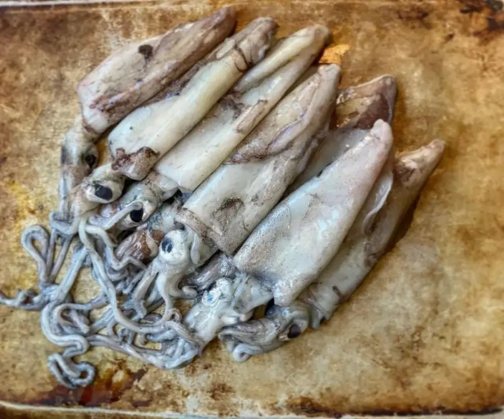 Productos del mar de Mauritania listos para exportar — Atlantique Seafood