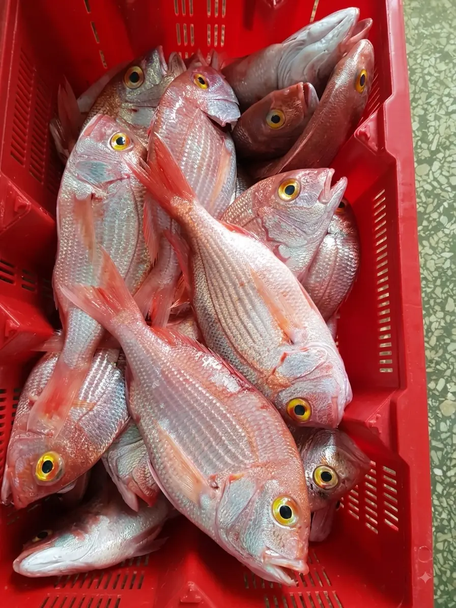 Proveedor de productos del mar en Mauritania — Atlantique Seafood